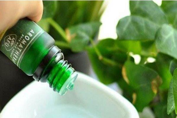 阿芙是一个怎么样的牌子呢 阿芙是哪个国家的呢 阿芙是一个怎么样的牌子呢 阿芙是哪个国家的呢