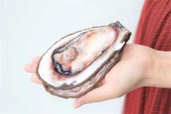 生蚝挎包是什么牌子 生蚝挎包在哪买 生蚝挎包是什么牌子 生蚝挎包在哪买