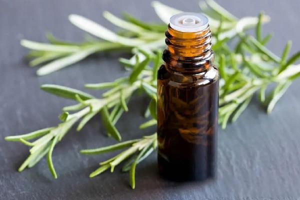 迷迭香精油真的能生发吗 迷迭香精油可以直接涂抹头发吗 迷迭香精油真的能生发吗 迷迭香精油可以直接涂抹头发吗