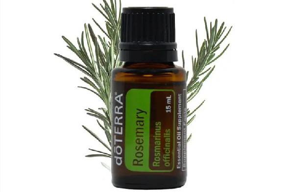 迷迭香精油真的能生发吗 迷迭香精油可以直接涂抹头发吗 迷迭香精油真的能生发吗 迷迭香精油可以直接涂抹头发吗