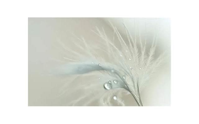 女人微信呵呵代表什么?该怎么回复? 女人微信呵呵代表什么?该怎么回复?