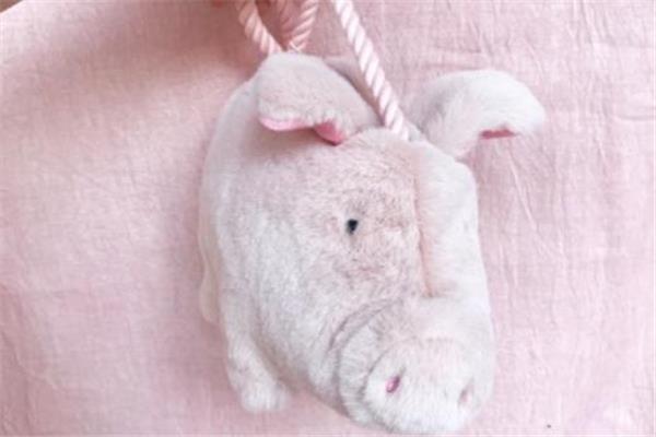 zara小猪包在哪买 搜索货号预定