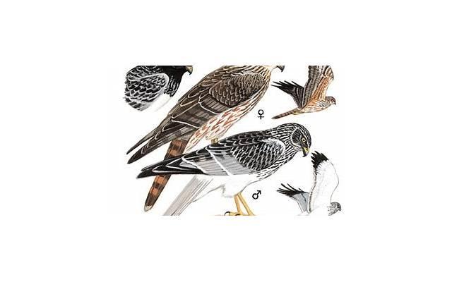 发现老公出轨怎样挽回，老公出轨怎样挽回？