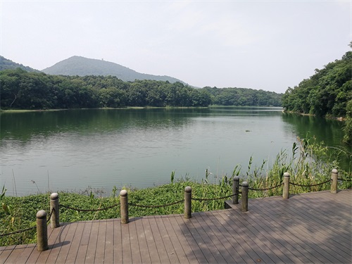 中国最美村镇“不老村”，为什么这么美，快来看看