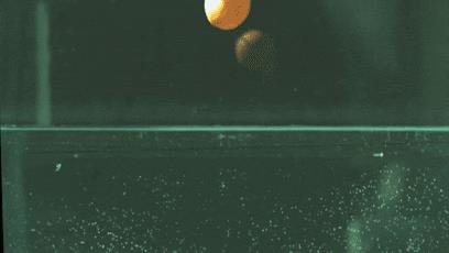 在马桶里吃巧克力冰淇淋?这个甜品创意差点创死我!