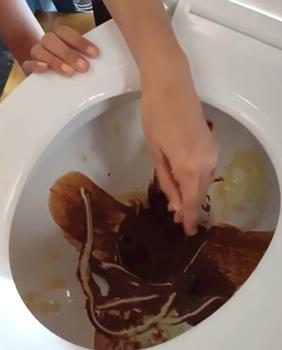在马桶里吃巧克力冰淇淋?这个甜品创意差点创死我!