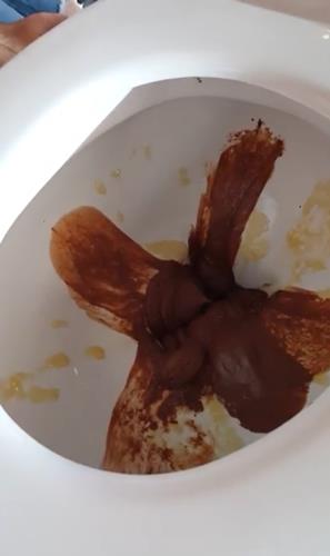 在马桶里吃巧克力冰淇淋?这个甜品创意差点创死我!