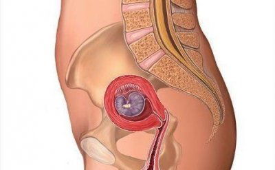 ​孕妈须知，胎儿每月姿势变化和注意事项
