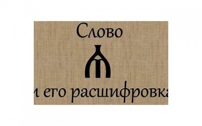 ​男生对我说薛定谔的猫