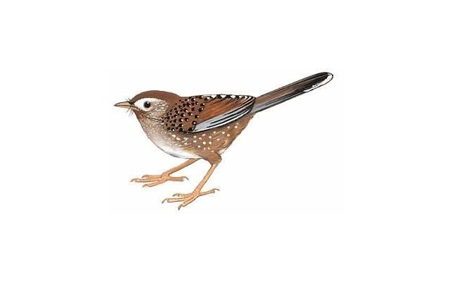 男人爱不爱你,床上表现最能说明真心吗? 男人爱不爱你,床上表现最能说明真心吗?