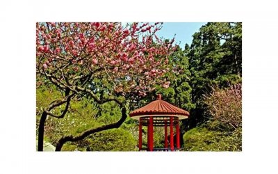 ​和女票逛街累了，十二星座男会怎么说出来