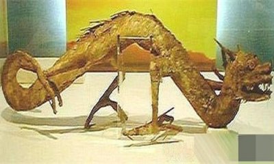 ​世界上真的有龙的存在吗？