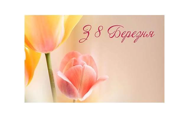 男方诉讼离婚彩礼钱要退吗 男方诉讼离婚彩礼钱要退吗