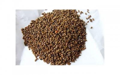 ​婚姻遭遇外遇风波：挽回妻子的实用建议