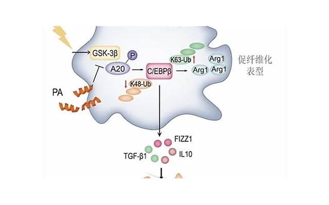 怎样才能让男朋友回心转意，复合 分手了怎么样才能复合？让对方回心转意的办法
