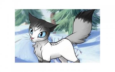 ​婚姻修复的方法和技巧，如何修复婚姻？