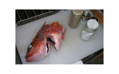 ​你能接受男朋友去摸摸唱了嘛?