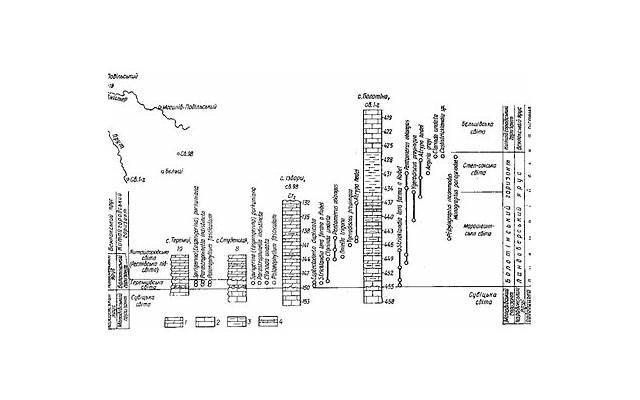 狮子座男生到底好不好(狮子座男生真的痴情吗)