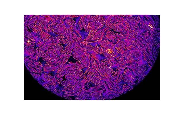 真爱小三又不能离婚怎么办？5个处理方法