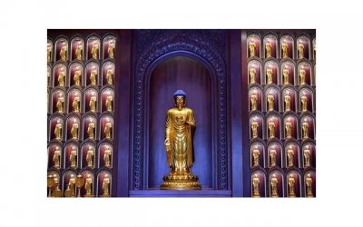 ​我恨水瓶座,水瓶座为什么不好惹