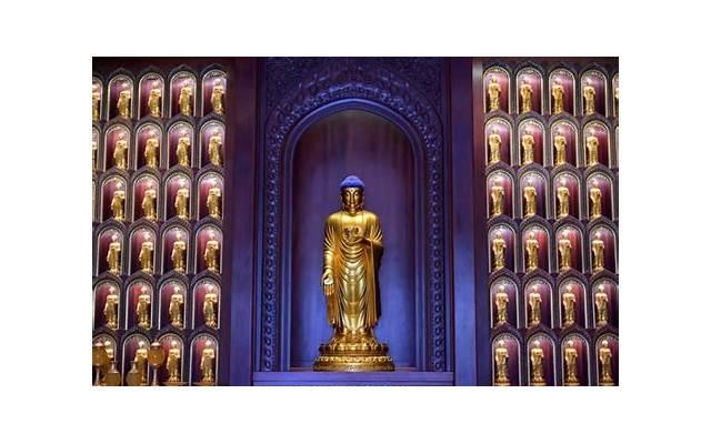 我恨水瓶座,水瓶座为什么不好惹 我恨水瓶座,水瓶座为什么不好惹