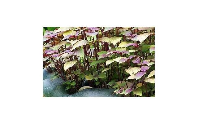  男生喜欢什么礼物？男生最渴望收到的礼物