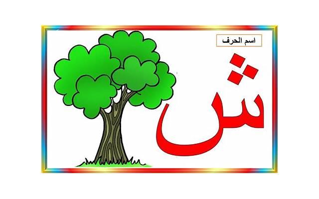 离婚了有新欢该如何挽回处理方法 离婚了有新欢该如何挽回处理方法