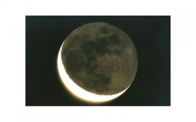 ​姚晨和凌潇肃离婚