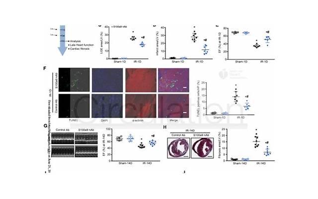 遇到家暴,要离婚,财产如何分配 遇到家暴,要离婚,财产如何分配
