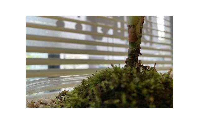  “你好，我是新来的顾客，可以跟你坐在一起吗？”