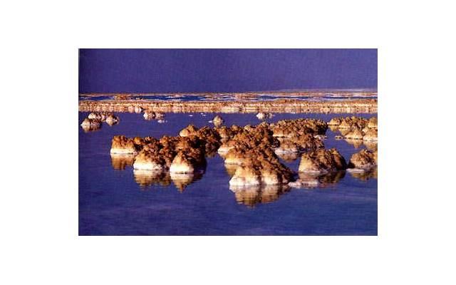 叶玄鸿钧老祖是什么小说（鸿钧老祖决意再次封神）