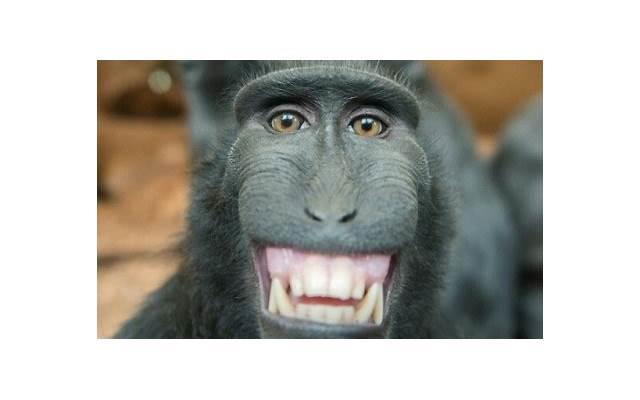 什么是太阳天蝎和上升天蝎 双子交界处的性格