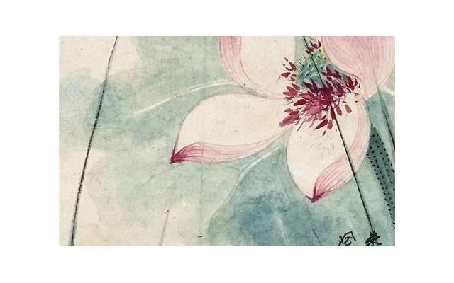 48朵玫瑰代表什么意思（48朵玫瑰代表什么意思姐妹语）