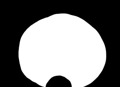 ​做梦梦见白色是什么意思