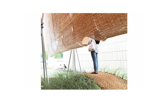 亚洲狮子灭绝了吗,为何更大的猛犸象却灭绝了 亚洲狮子灭绝了吗,为何更大的猛犸象却灭绝了