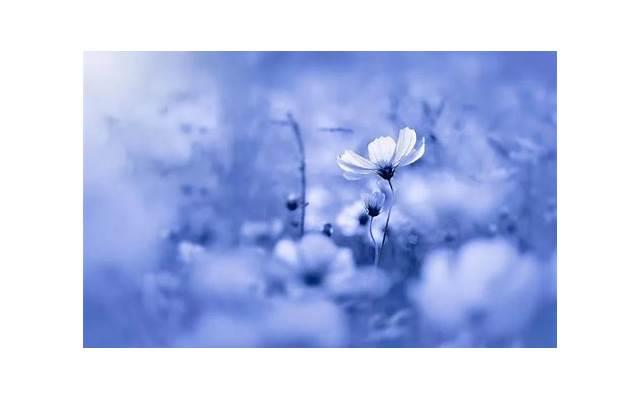 女生的胸长什么样 女性胸部会有哪些类型 女生的胸长什么样 女性胸部会有哪些类型