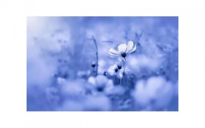 ​女生自己GC最快的方法有什么 分享4种方法让女生快速高潮