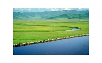 ​唐嫣结婚照，唐嫣的结婚照竟然给我们种了无数的草