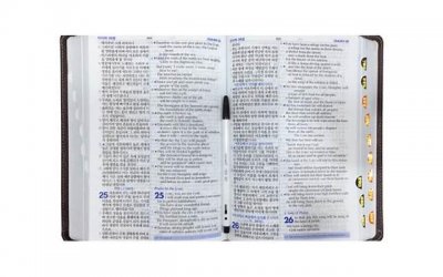 ​怎么跟女朋友聊天能哄她开心？聊天哄女朋友开心的方法