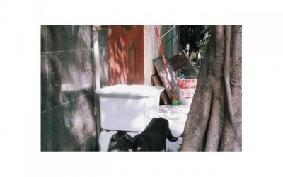 ​准备结婚了，我跟男友却频繁吵架