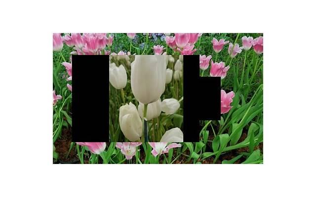 已婚异性互有好感的表现7个:让你提早发现