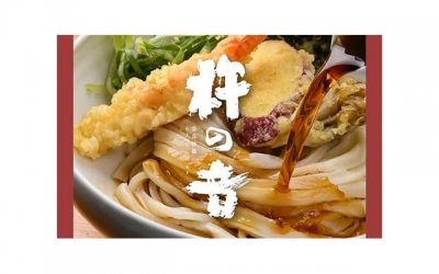 ​秦岚结婚了吗（41岁秦岚官宣恋情）