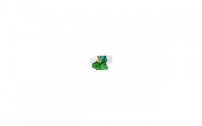 ​女子截下表白失败帅哥的花 如今领证结婚