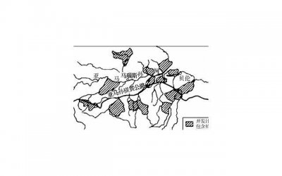 ​薰衣草精油怎么样（老人家最喜欢的精油）