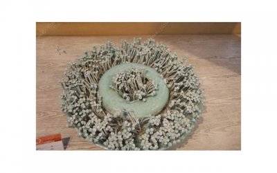 ​求教，老师是什么？从教育到情感，探寻老师的真正含义