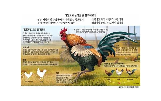 挽回死心前男友正确方法，挽回前男友的方法