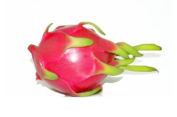 吃火龙果拉肚子是什么原因 吃火龙果对身体有什么好处