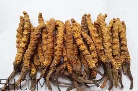 冬虫夏草多少钱一斤？冬虫夏草回收多少钱一克