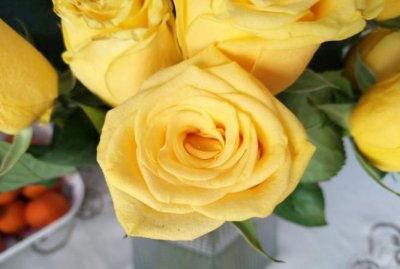 ​黄玫瑰代表什么，黄玫瑰在西方代表什么？