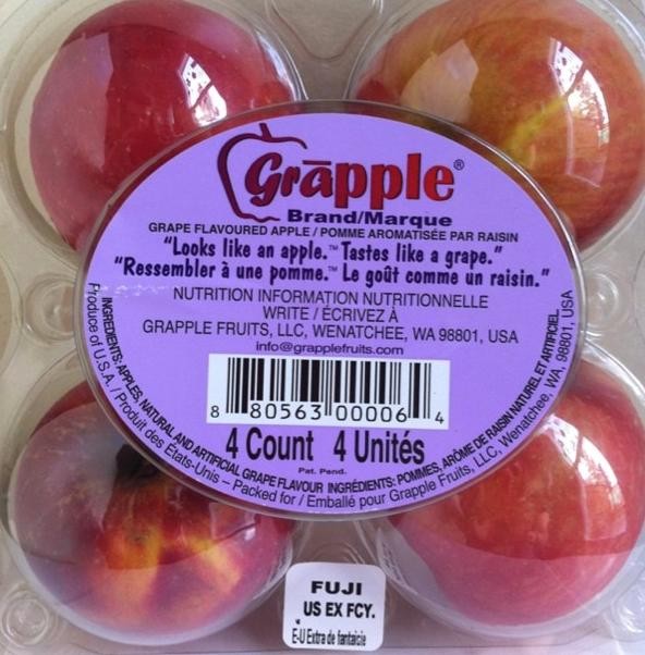 各种转基因生物（十大奇异的转基因生物）(2)